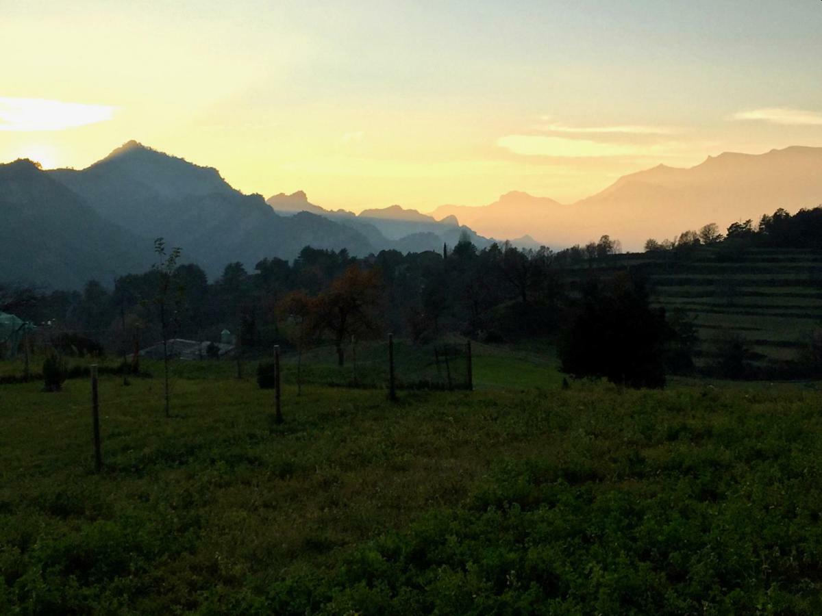Apartamento Rural Con Encanto Can Salvador Borreda Экстерьер фото